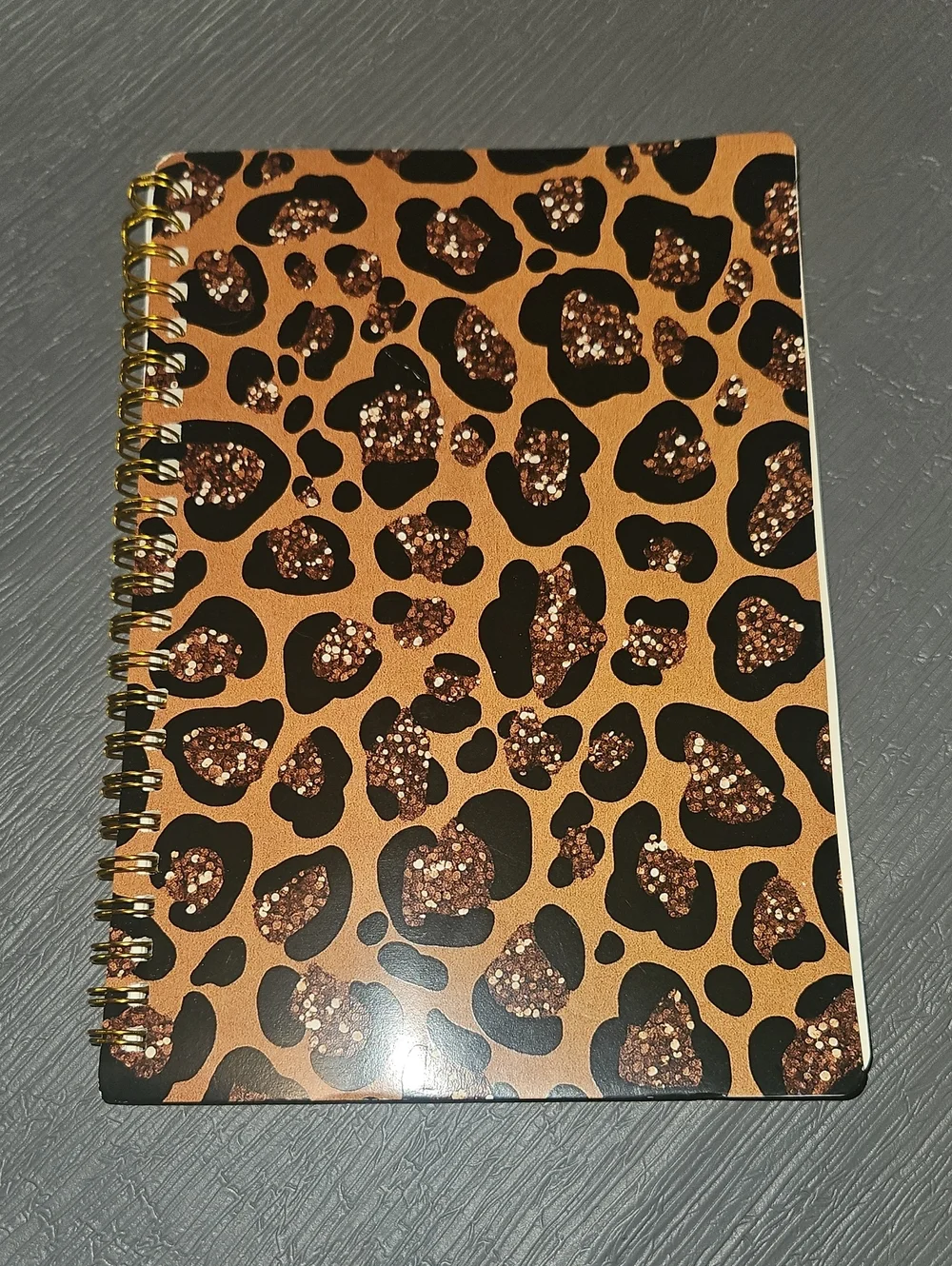 Spiral Notebooks 8